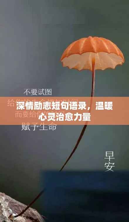 深情励志短句语录,温暖心灵治愈力量