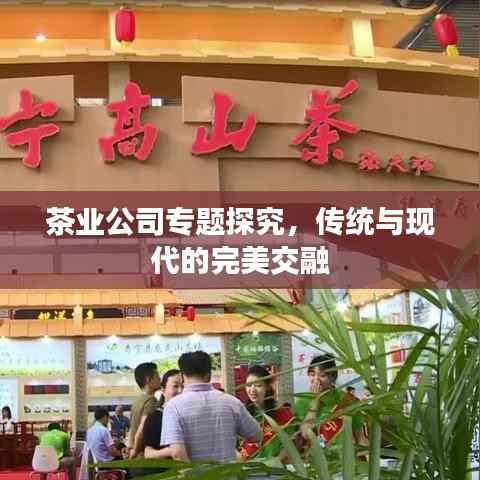 茶业公司专题探究,传统与现代的完美交融
