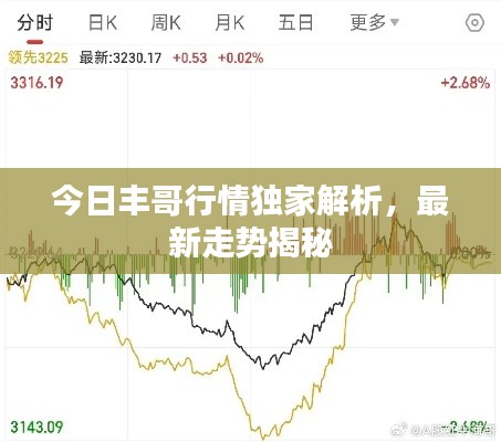 今日丰哥行情独家解析,最新走势揭秘