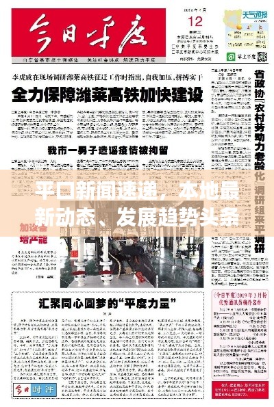 平口新闻速递,本地最新动态、发展趋势头条报道