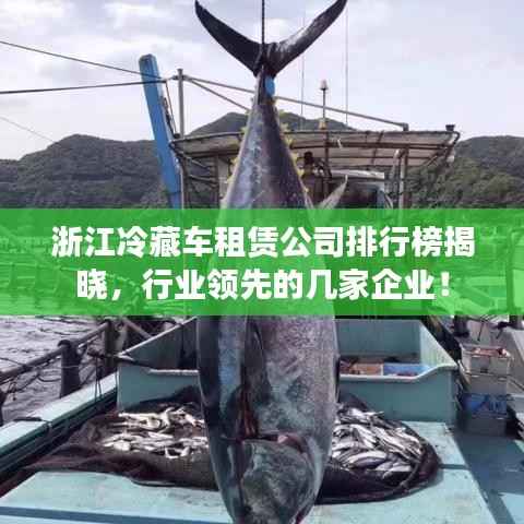浙江冷藏车租赁公司排行榜揭晓,行业领先的几家企业!