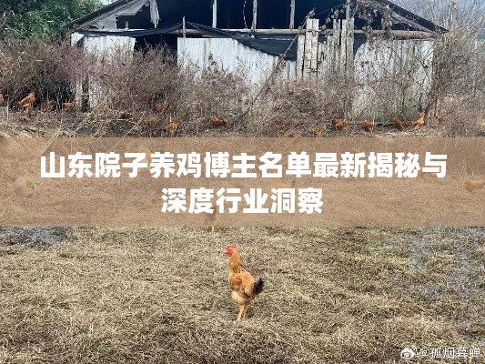 山东院子养鸡博主名单最新揭秘与深度行业洞察
