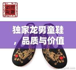 独家龙男童鞋,品质与价值并重,价格实惠!