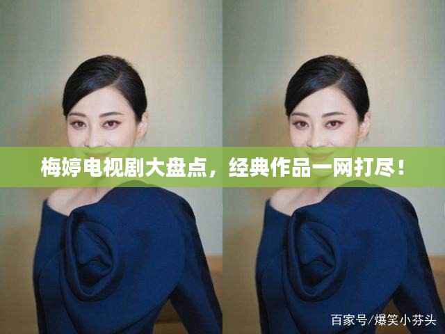 梅婷电视剧大盘点，经典作品一网打尽！