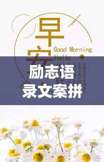 励志语录文案拼图，激发无限潜能，点亮人生拼图！