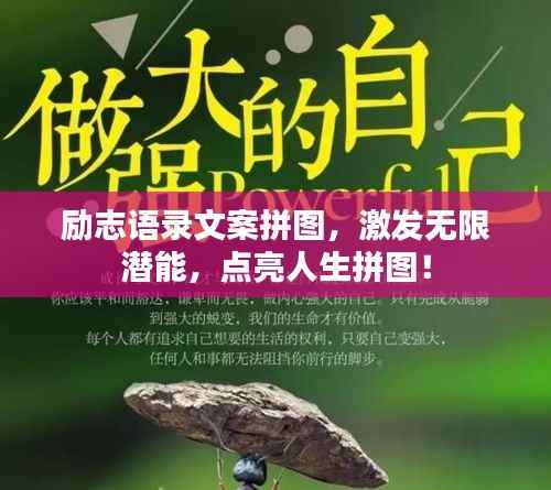励志语录文案拼图,激发无限潜能,点亮人生拼图!