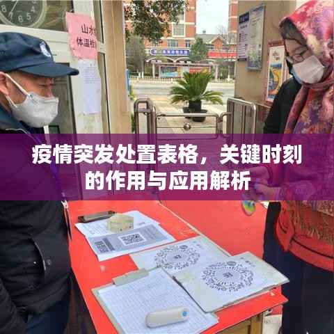 疫情突发处置表格,关键时刻的作用与应用解析