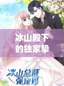 冰山殿下的独家挚爱,萌妻甜蜜宠溺之旅