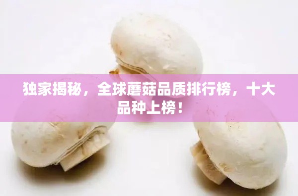 独家揭秘,全球蘑菇品质排行榜,十大品种上榜!
