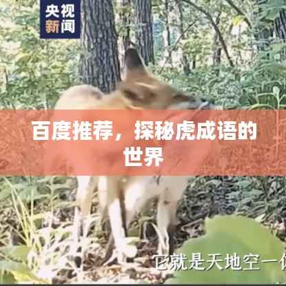 百度推荐,探秘虎成语的世界