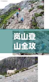 岚山登山全攻略,美景尽收眼底,百度带你畅游!
