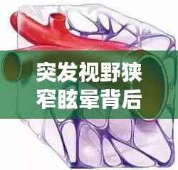 突发视野狭窄眩晕背后的真相揭秘