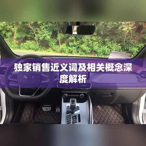 独家销售近义词及相关概念深度解析