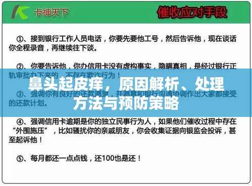 鼻头起皮痒,原因解析、处理方法与预防策略