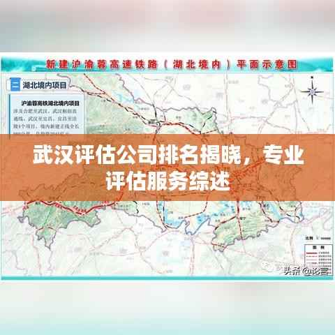 武汉评估公司排名揭晓,专业评估服务综述