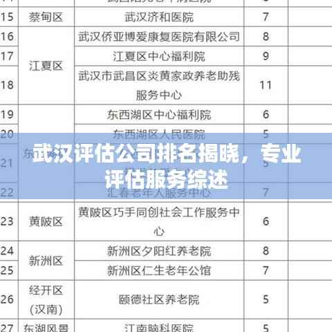 武汉评估公司排名揭晓,专业评估服务综述