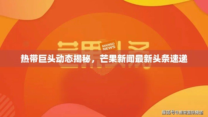 热带巨头动态揭秘,芒果新闻最新头条速递