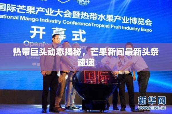 热带巨头动态揭秘,芒果新闻最新头条速递