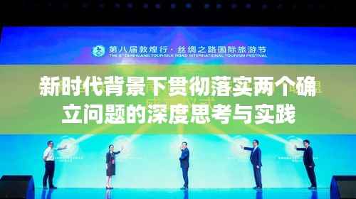 新时代背景下贯彻落实两个确立问题的深度思考与实践