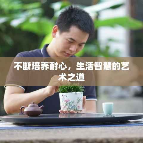 不断培养耐心,生活智慧的艺术之道