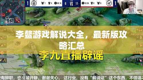 李鳌游戏解说大全,最新版攻略汇总