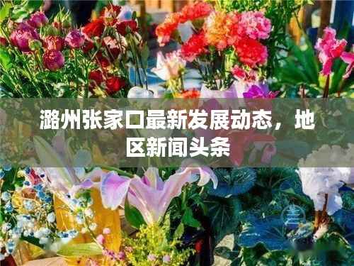 潞州张家口最新发展动态,地区新闻头条