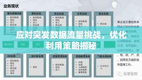 应对突发数据流量挑战，优化利用策略揭秘