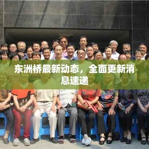 东洲桥最新动态，全面更新消息速递