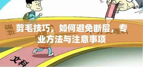 剪毛技巧，如何避免断层，专业方法与注意事项