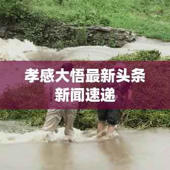 鸟入樊笼 第4页