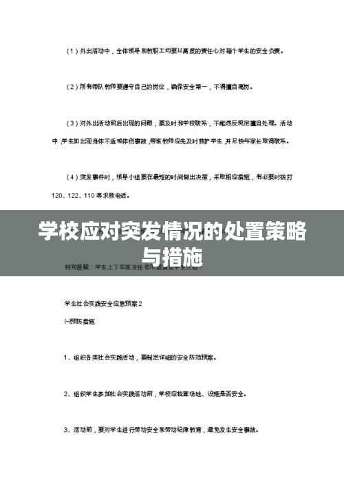 学校应对突发情况的处置策略与措施