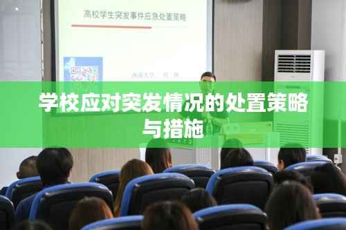 学校应对突发情况的处置策略与措施