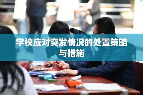 学校应对突发情况的处置策略与措施