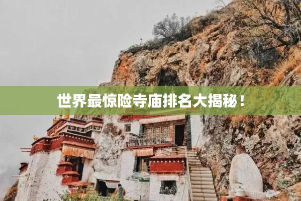 飞龙在天 第5页