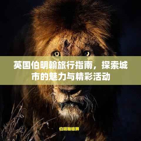 英国伯明翰旅行指南,探索城市的魅力与精彩活动
