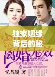 独家姻缘背后的秘密,娇妻离婚无效之谜揭秘!