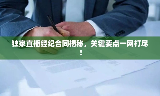 独家直播经纪合同揭秘,关键要点一网打尽!