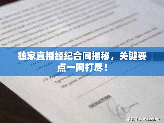 独家直播经纪合同揭秘,关键要点一网打尽!
