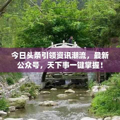 今日头条引领资讯潮流，最新公众号，天下事一键掌握！