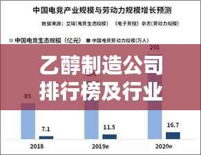 乙醇制造公司排行榜及行业影响力解析