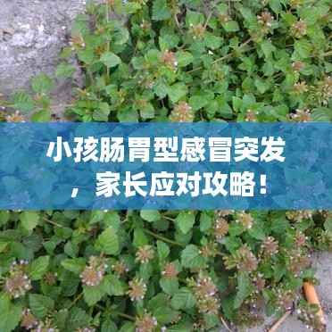 小孩肠胃型感冒突发,家长应对攻略!