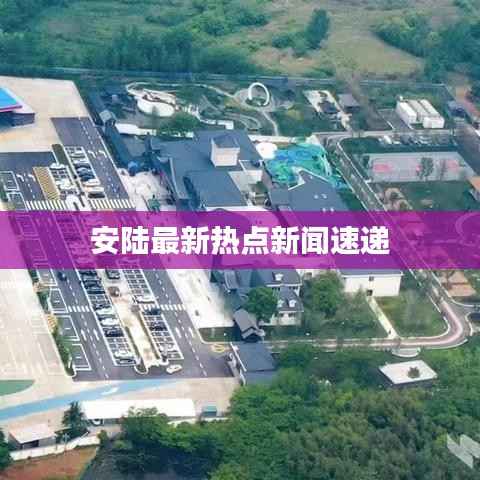 安陆最新热点新闻速递
