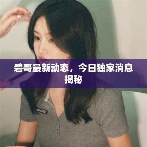 碧哥最新动态,今日独家消息揭秘