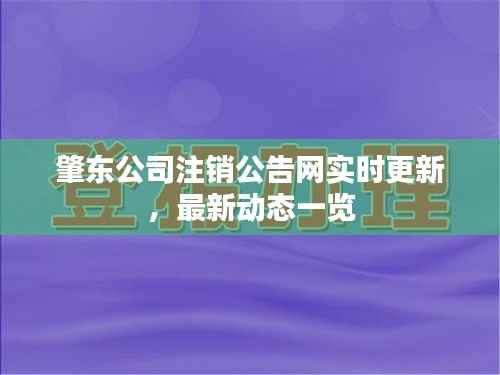 肇东公司注销公告网实时更新，最新动态一览