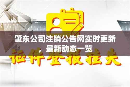 肇东公司注销公告网实时更新,最新动态一览