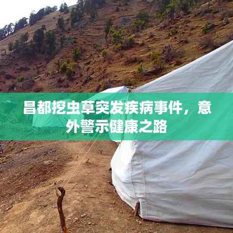 昌都挖虫草突发疾病事件，意外警示健康之路