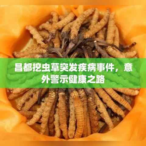 昌都挖虫草突发疾病事件,意外警示健康之路