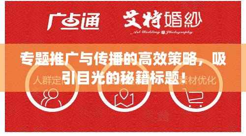 专题推广与传播的高效策略,吸引目光的秘籍标题!