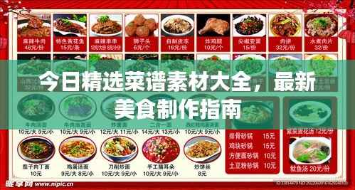 今日精选菜谱素材大全,最新美食制作指南