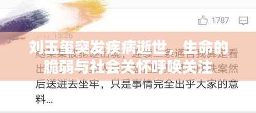 十全十美 第5页